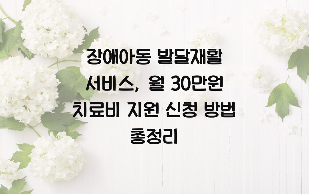 장애아동 발달재활 서비스, 월 30만원 치료비 지원 신청 방법