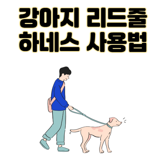 강아지 리드줄 사용법 하네스 산책 훈련 팁