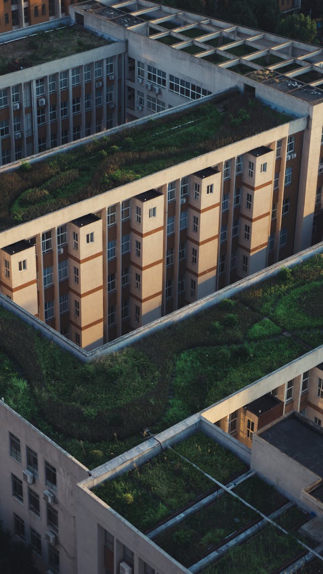 도시 열섬 현상과 데이터 기반 기후 대응 기술