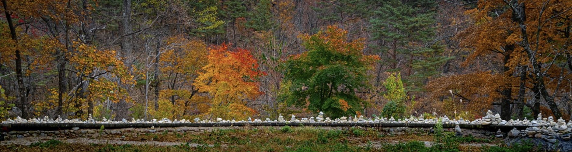 설악산 케이블카 요금안내