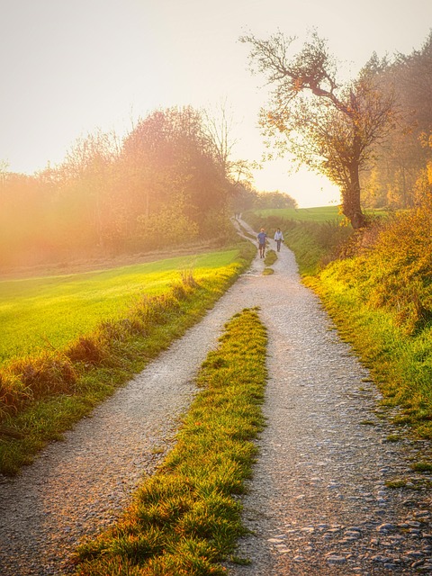 현황도로, 사실상 도로 인정될까?