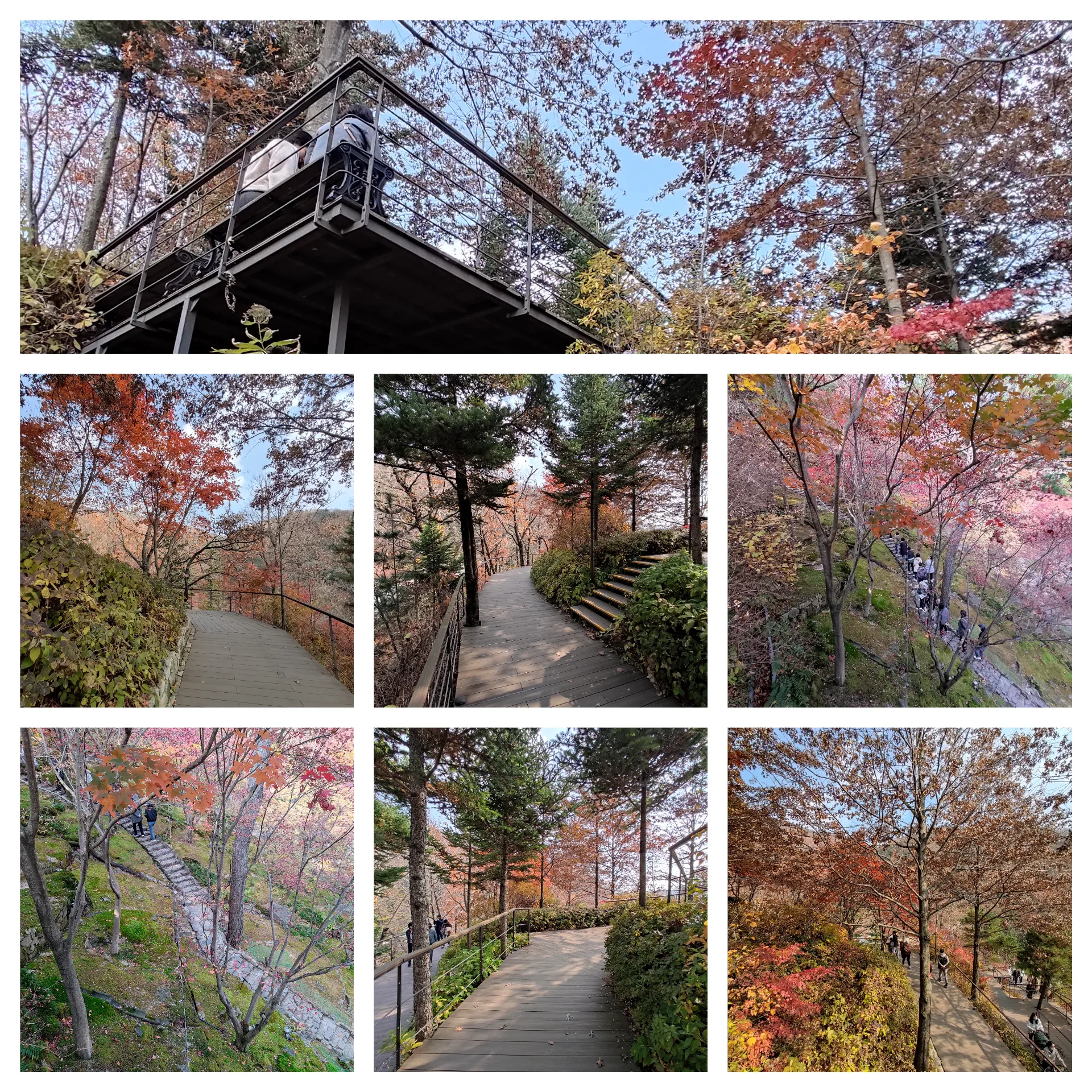 가을 화담숲