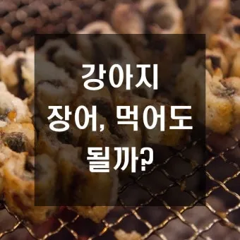 장어 효능 장어와 상극인 음식 건강 상식_4