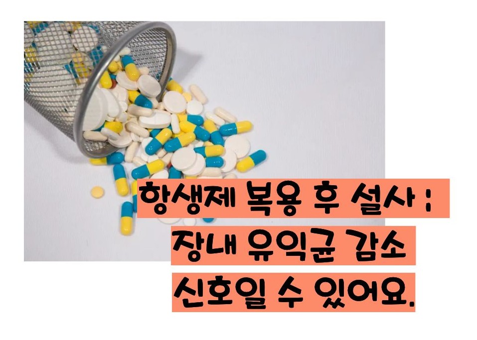 항생제 부작용