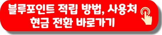 현대 블루포인트 적립 방법, 사용처, 현금 전환