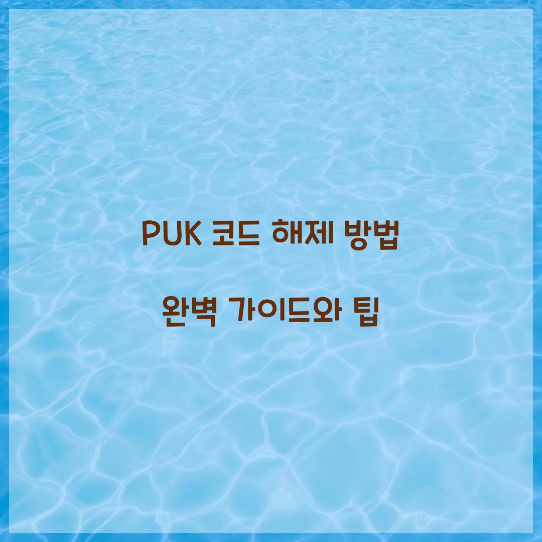PUK 코드 해제 방법