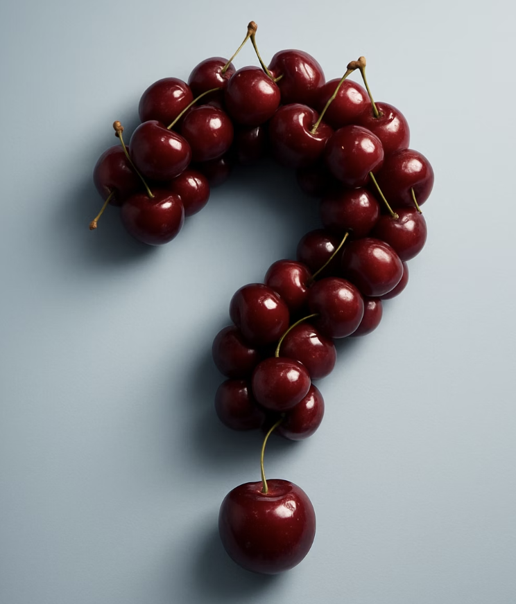 체리효능&amp;#44; 기억력과 뇌 건강에 좋은 이유