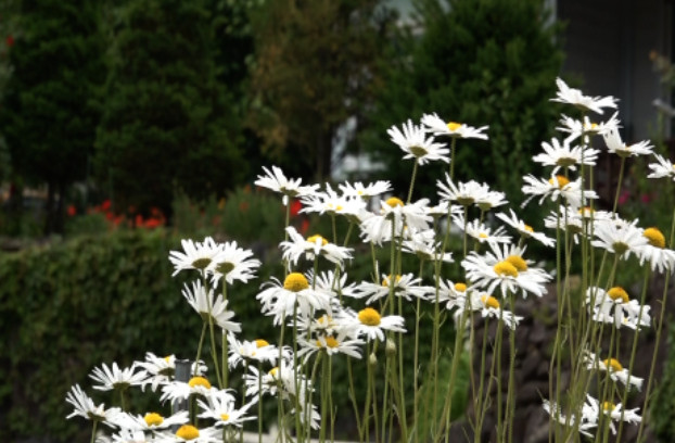 사노라면 지리산 한옥 민박