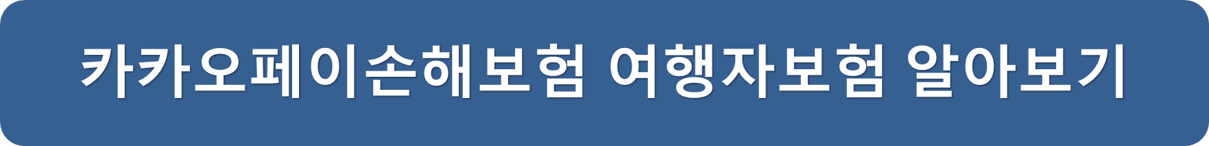 카카페손해보험여행자보험