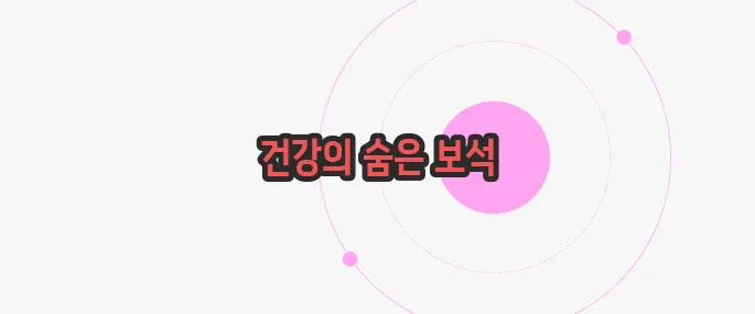 마카다미아의 효능 이제 본격적으로 알아볼까요