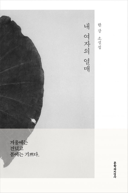 한강 노벨문학상 작품 관련 프로필&#44; 반응 소개