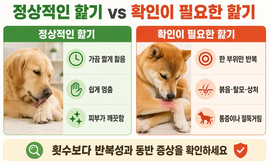 강아지의 정상적인 핥기와 확인이 필요한 반복적인 핥기 비교