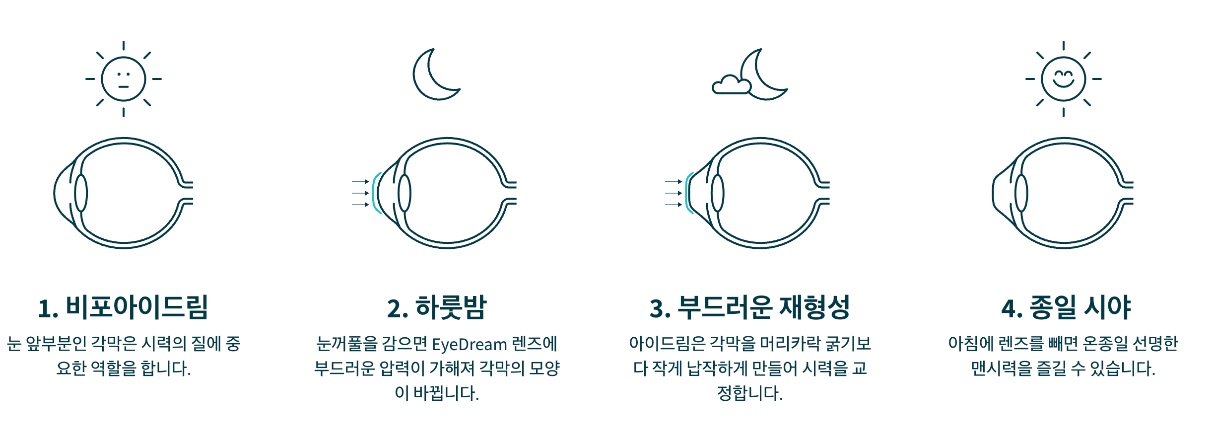 드림렌즈