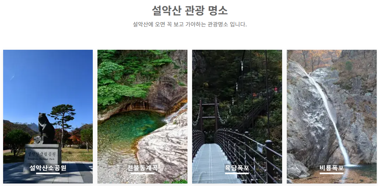 대한민국단풍 단풍여행 가을여행 단풍명소 2025단풍시기