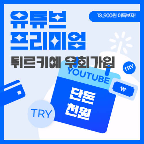 유튜브 프리미엄 튀르키예 우회가입