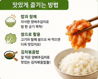 양배추이미지