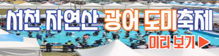 서천 자연산 광어 도미축제