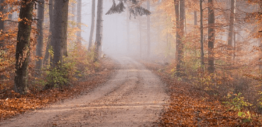 주왕산 단풍 절정시기