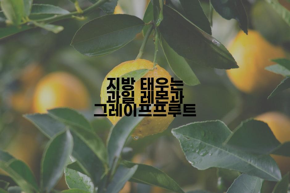 지방 태우는 과일 레몬과 그레이프프루트