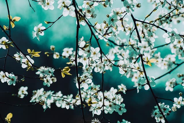 전남학생교육수당 사용처