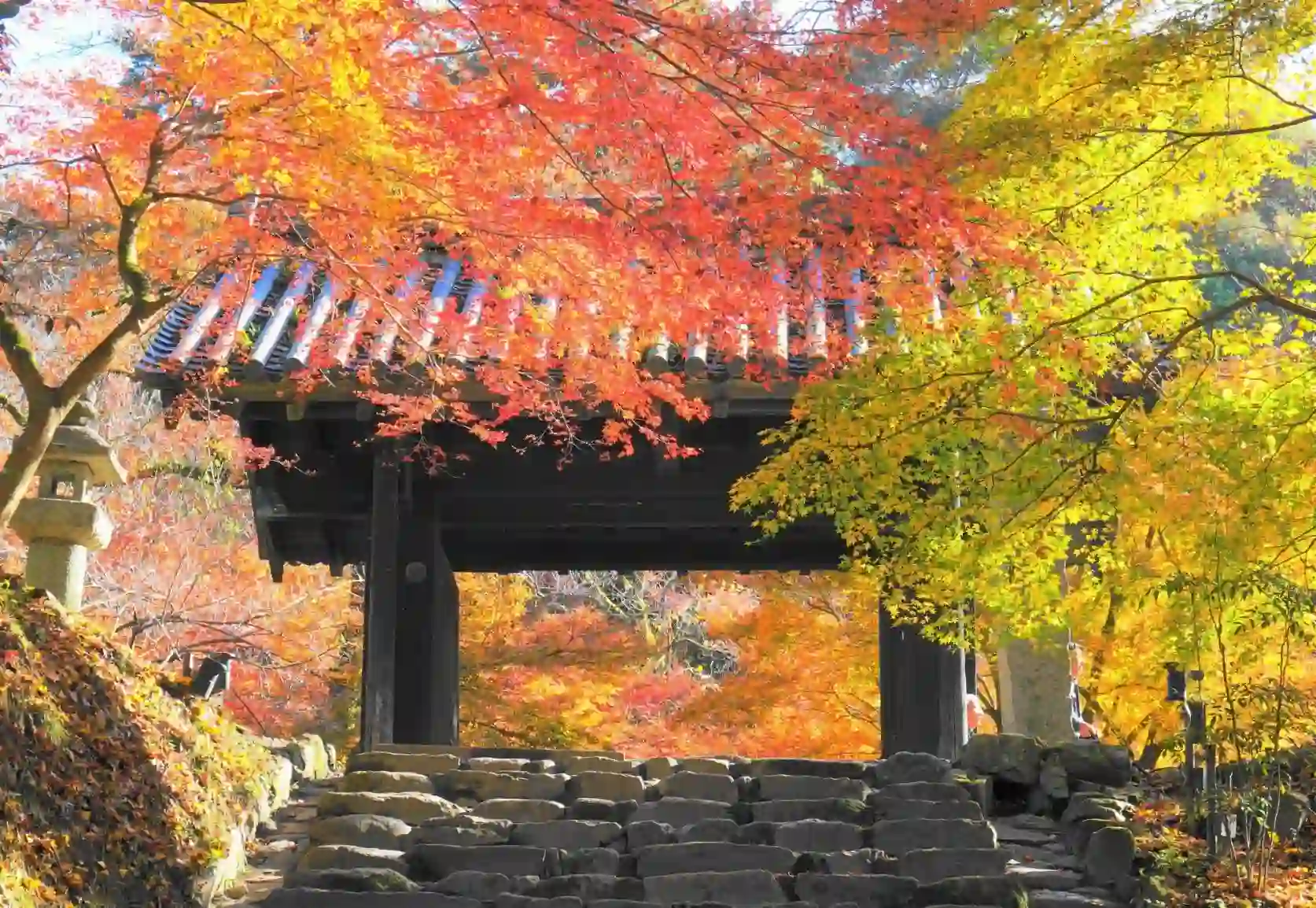 아키즈키 성터