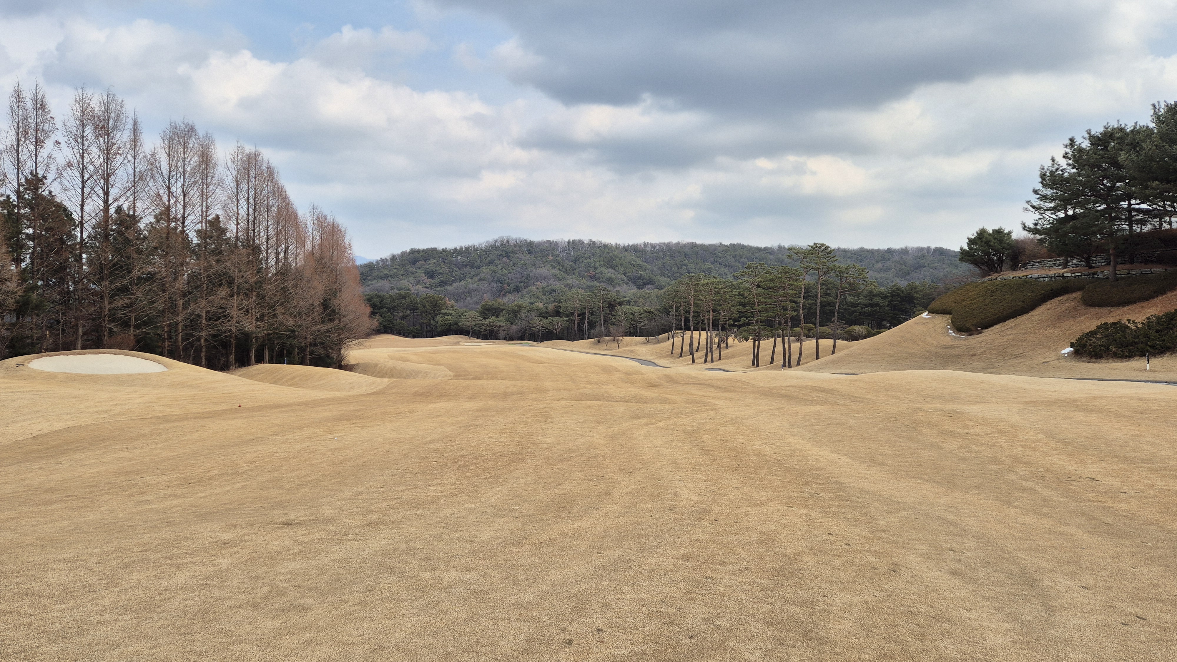 아도니스cc 동-서 코스 사진 및 공략 정보