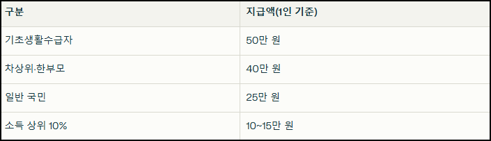 민생회복 소비쿠폰 지급