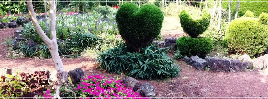 제주-김녕미로공원-입장료-운영-시간