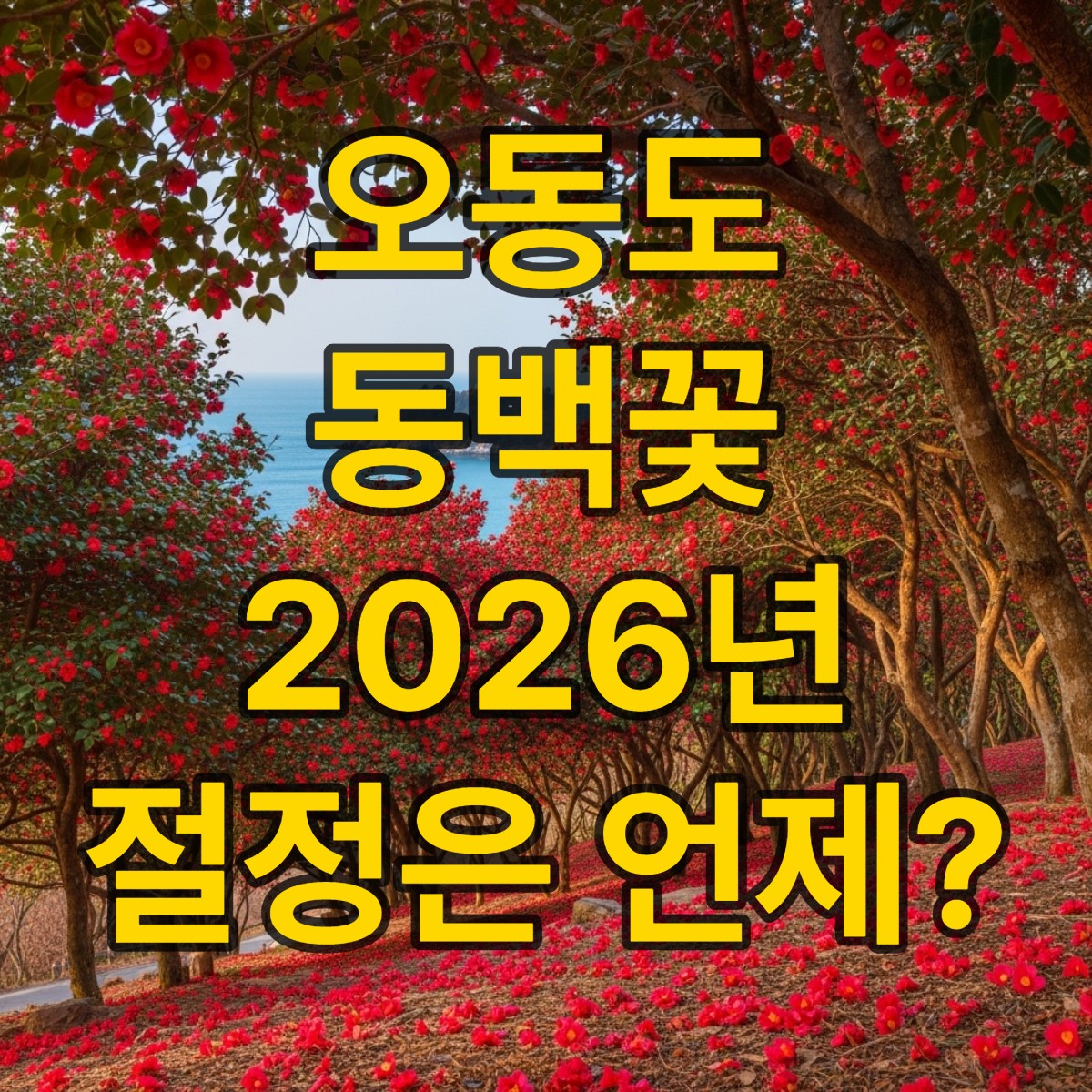 오동도 동백꽃 개화시기