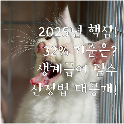 2025년 생계급여 기준 중위소득 3..