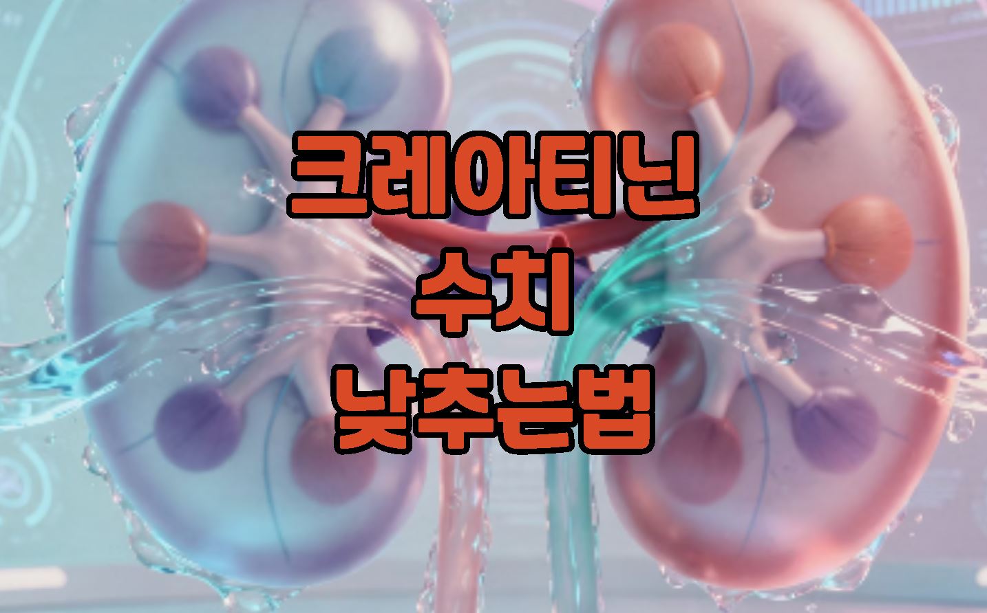 크레아티닌 수치 낮추는법