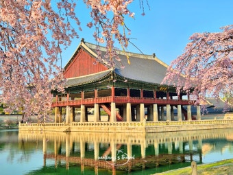 365 서울챌린지 1기 참여혜택·신청방법 총정리