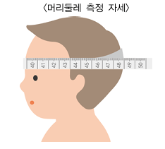 머리둘레 측정방법