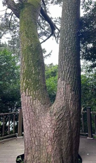 거제 가볼만한곳 베스트 10