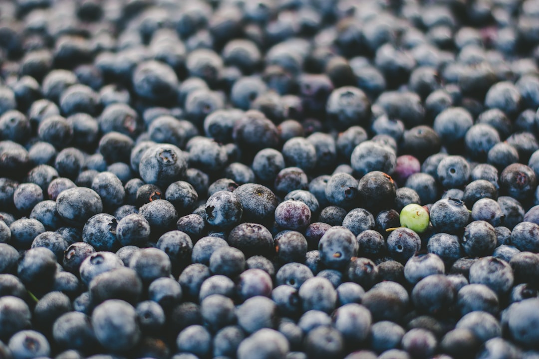 Blueberry