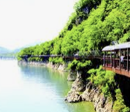 INFP 유형 특징 분석