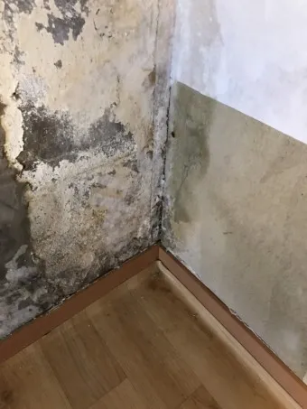 곰팡이 제거 방법 방지 페인트 냄새 없애기_21