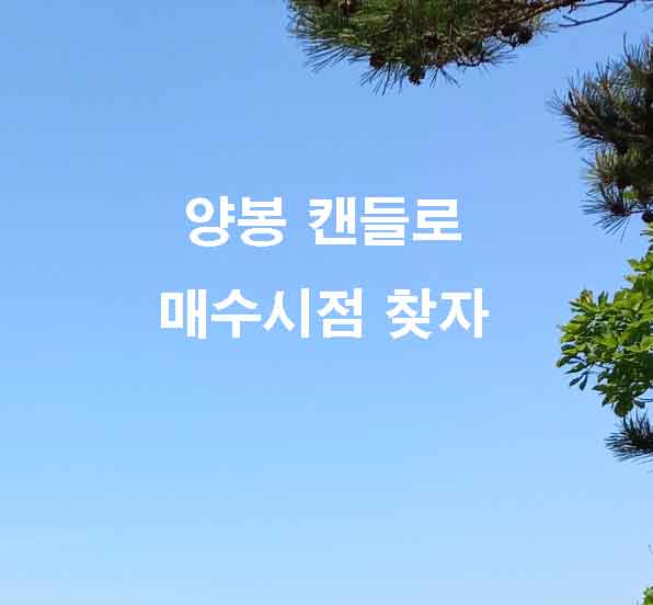 양봉캔들
