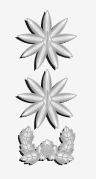 중령