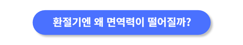 버튼