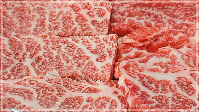 한국인의 밥상 전남 장흥 표고버섯, 키조개 관자, 한우 소고기, 삼합 맛집