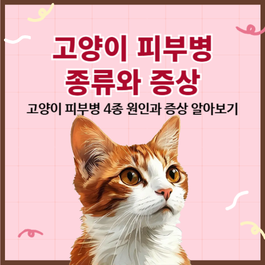 고양이 피부병