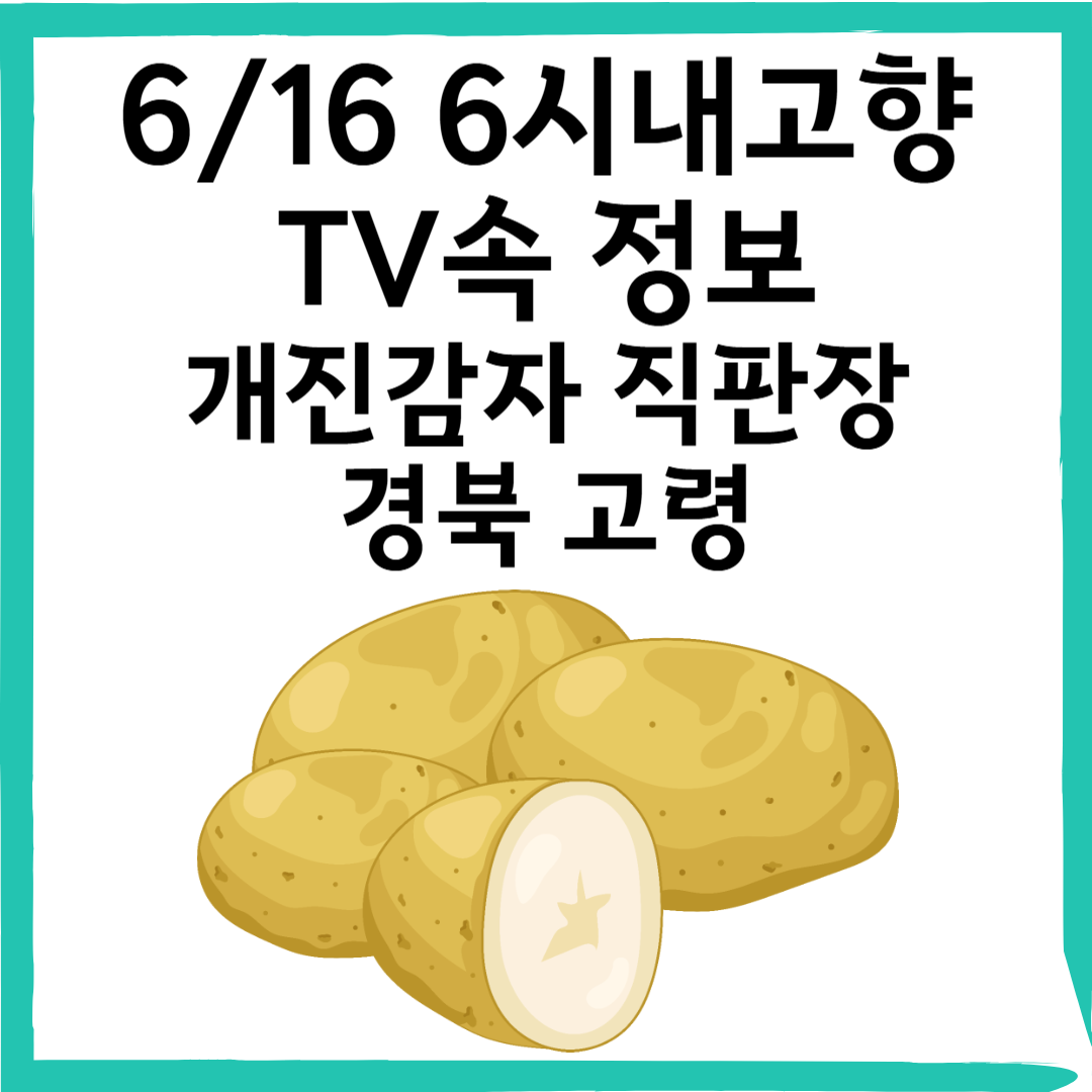 6/16 6시내고향 포슬포슬한 '개진감자' 직판장 정보 정리