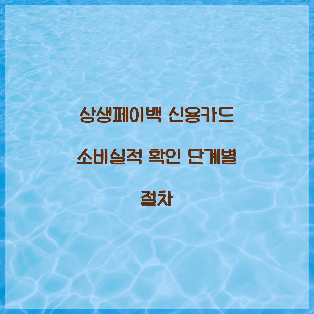 상생페이백 신용카드 소비실적 확인 단계별 절차