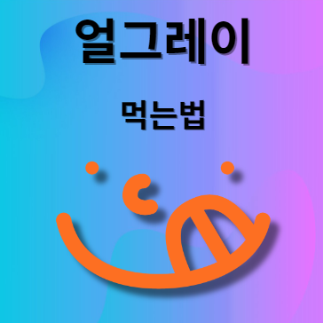 얼그레이 먹는법