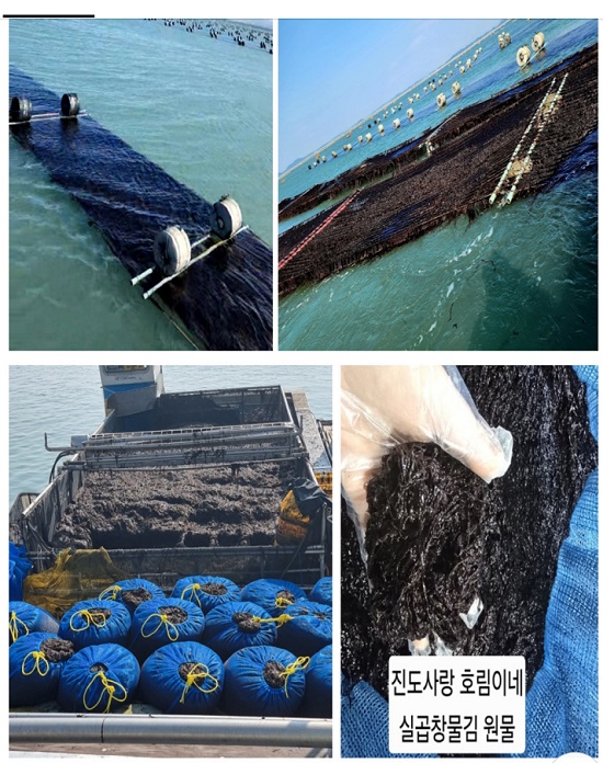 한국기행-진도-물김-