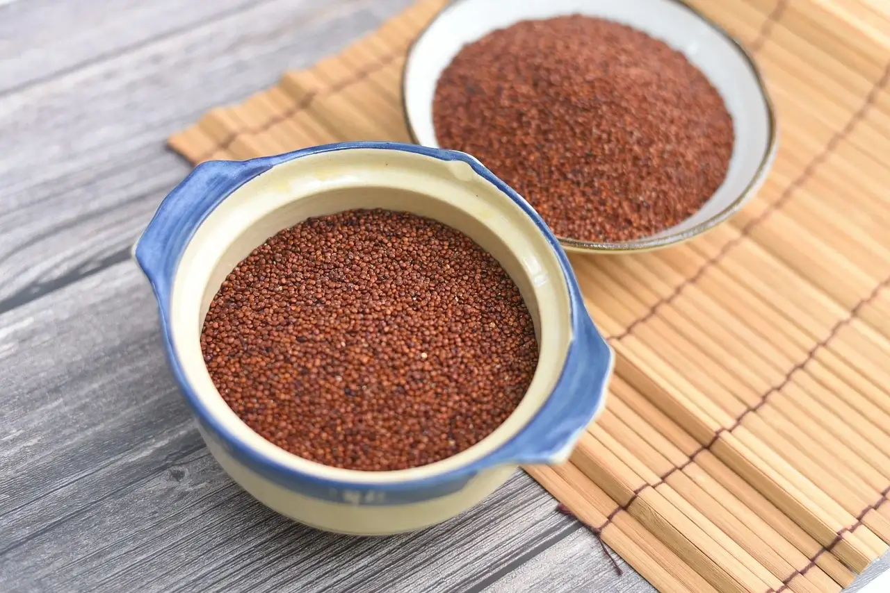 알부민 많은 음식