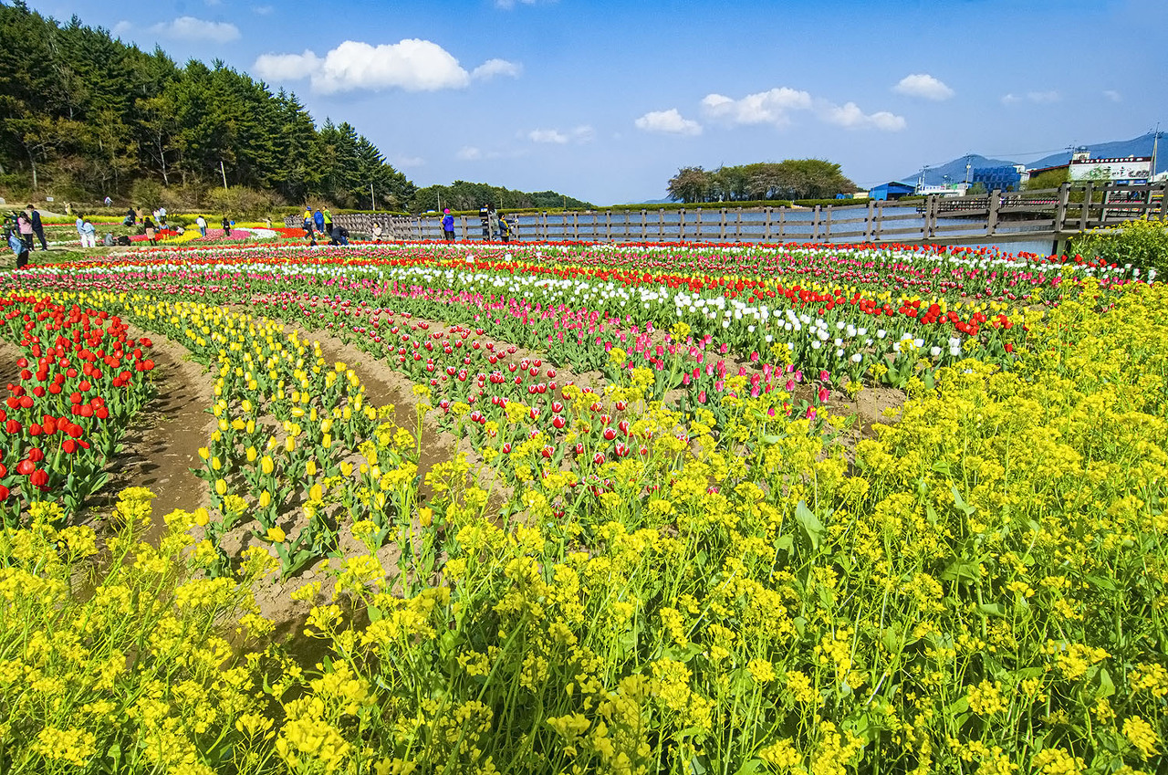 남해 장평저수지
