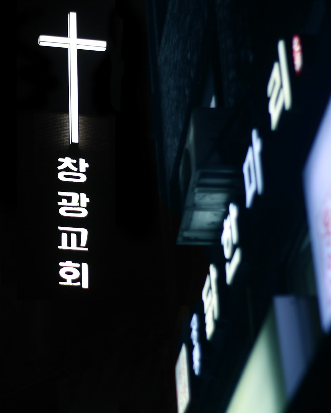 2025년 기준 부산국제영화제 개막식 총정리 7가지: 성공적인 관람 전략 관련 이미지 2