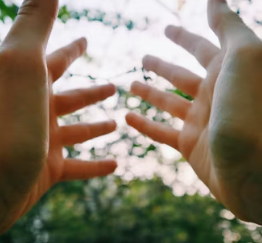 수족냉증 영양제